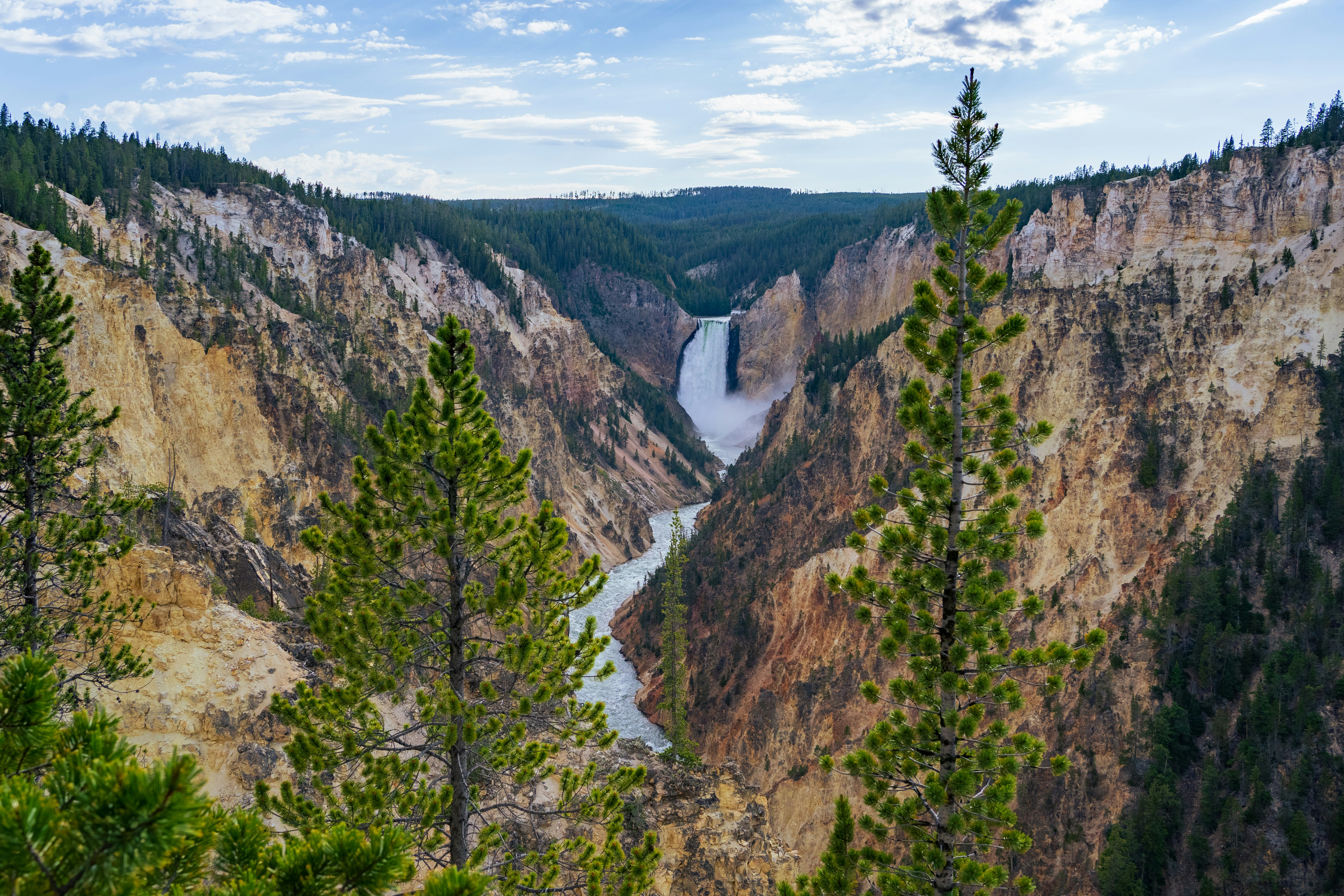 Lower Falls of the Yellowstone, seen through pines from Artist Point